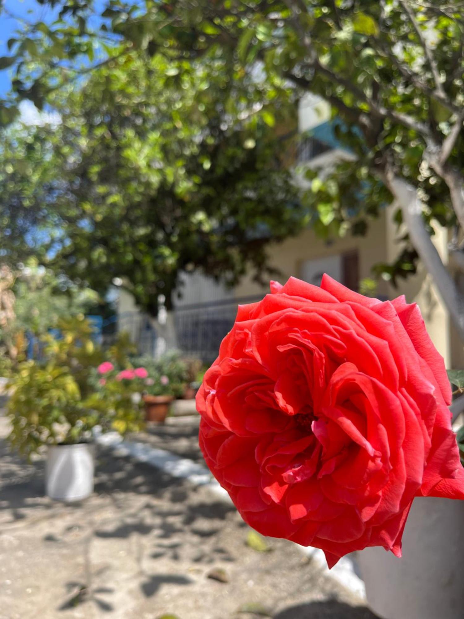 Hotel Portokali Himare Eksteriør bilde